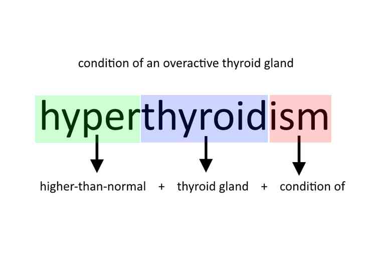 Image intitulée Understand_Medical_Terminolgy_Step_5.png